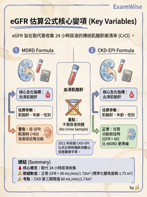 醫檢師 - 腎臟機能與代謝評估 - AI 圖文解析預覽