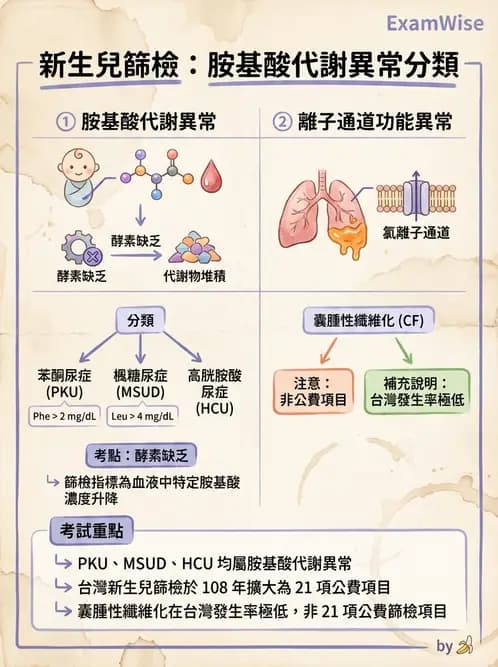 醫檢師 - 胺基酸代謝與先天性疾病 - AI 圖文解析預覽