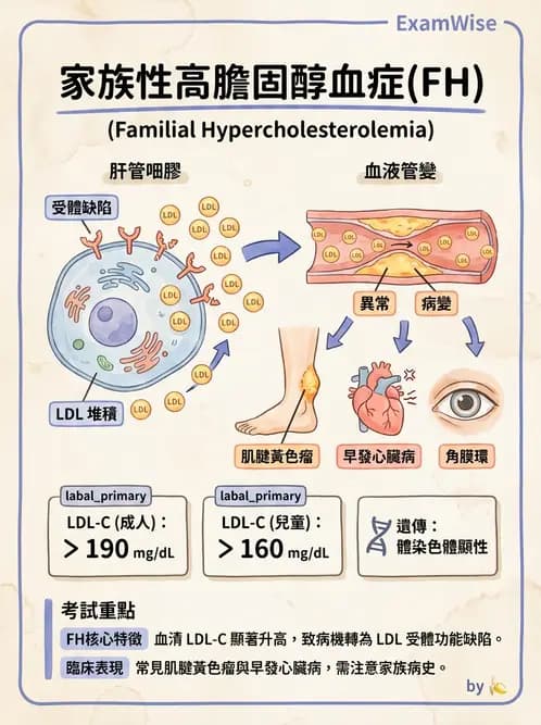 醫檢師 - 脂蛋白分類與臨床應用 - AI 圖文解析預覽