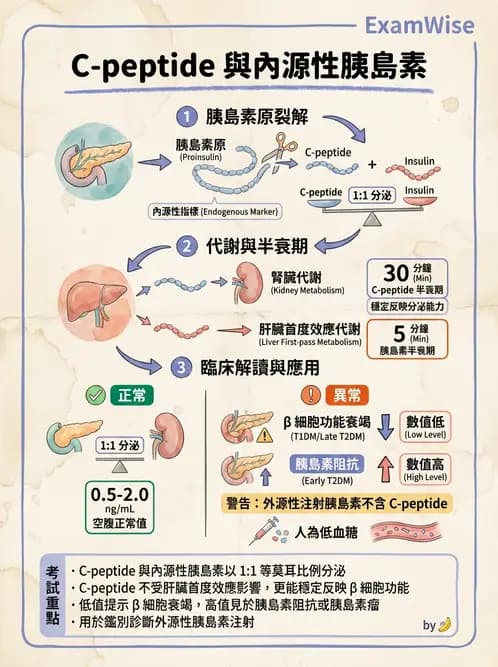 醫檢師 - 醣類代謝與糖尿病 - AI 圖文解析預覽