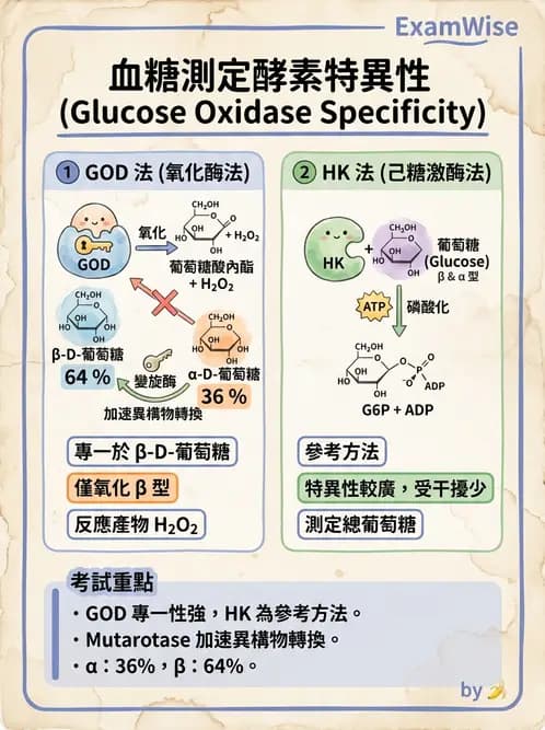 醫檢師 - 醣類代謝與糖尿病 - AI 圖文解析預覽