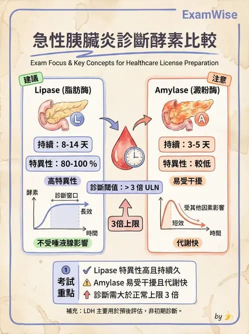 醫檢師 - 肝臟機能與胰臟酵素 - AI 圖文解析預覽
