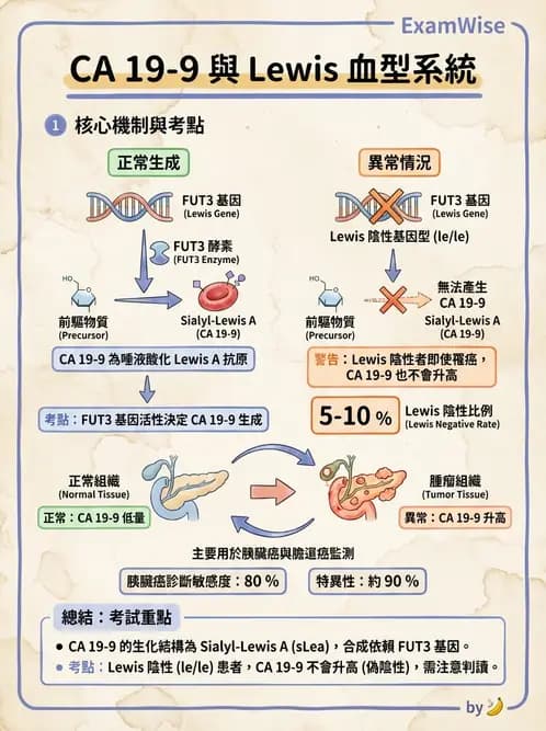 醫檢師 - 腫瘤標誌 - AI 圖文解析預覽