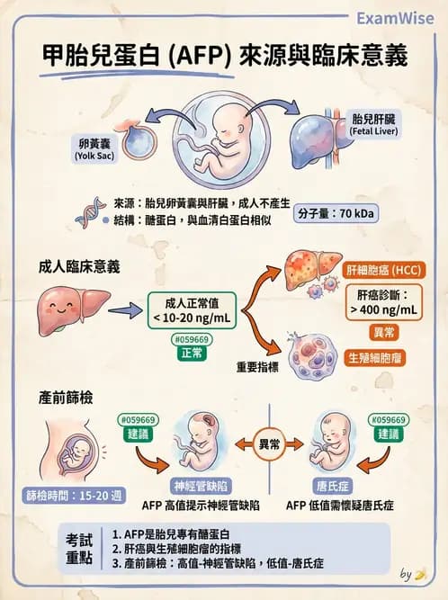 醫檢師 - 腫瘤標誌 - AI 圖文解析預覽