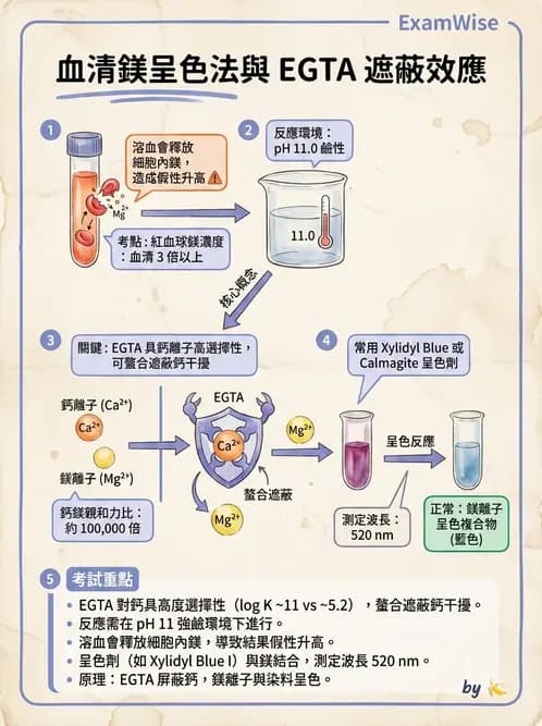 醫檢師 - 電解質與微量元素 - AI 圖文解析預覽