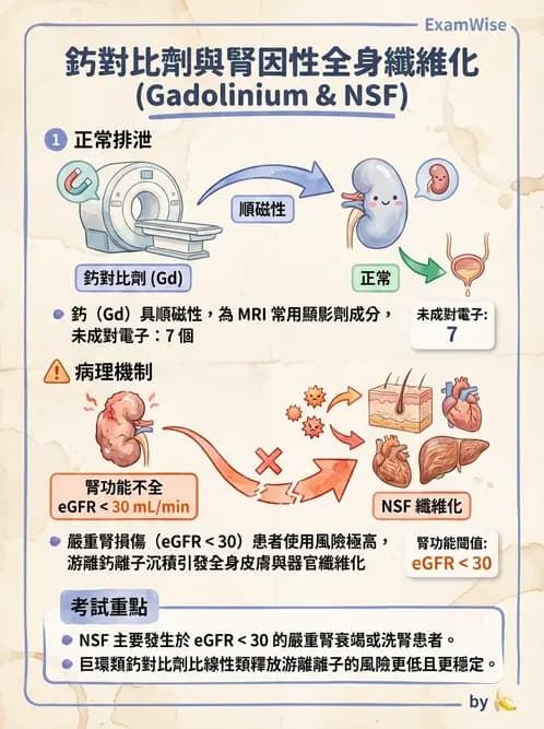 醫檢師 - 電解質與微量元素 - AI 圖文解析預覽