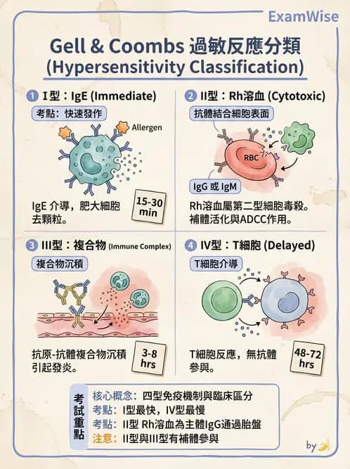 醫檢師 - 過敏反應及測試法 - AI 圖文解析預覽