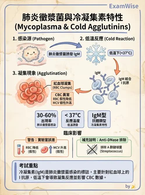 醫檢師 - 急性發炎蛋白與微生物感染血清學 - AI 圖文解析預覽