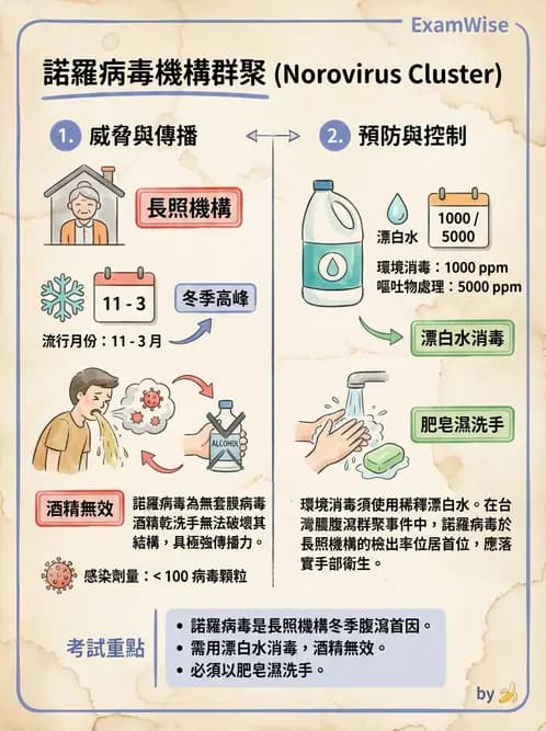 醫檢師 - 其他RNA病毒 - AI 圖文解析預覽