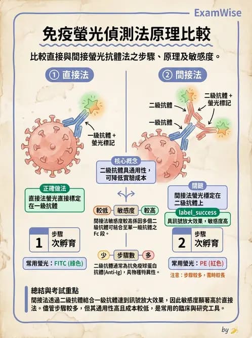 醫檢師 - 病毒檢驗技術 - AI 圖文解析預覽