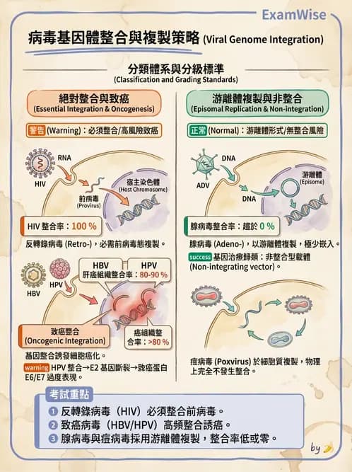 醫檢師 - 腺病毒與痘病毒 - AI 圖文解析預覽