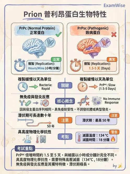 醫檢師 - 朊蛋白與其他DNA相關病原 - AI 圖文解析預覽