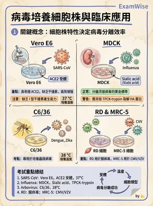 醫檢師 - 冠狀病毒科 - AI 圖文解析預覽