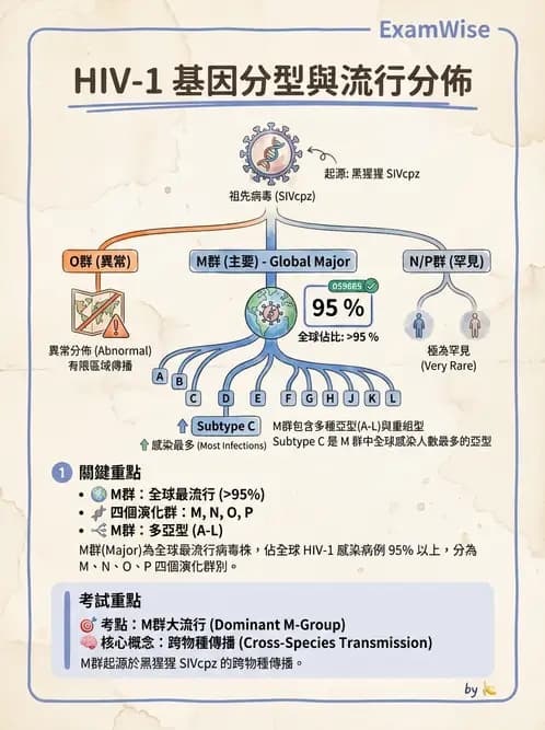 醫檢師 - 反轉錄病毒(HIV/HTLV) - AI 圖文解析預覽