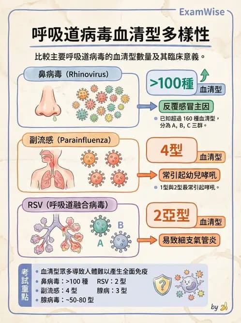 醫檢師 - 小RNA病毒科與腸道病毒 - AI 圖文解析預覽