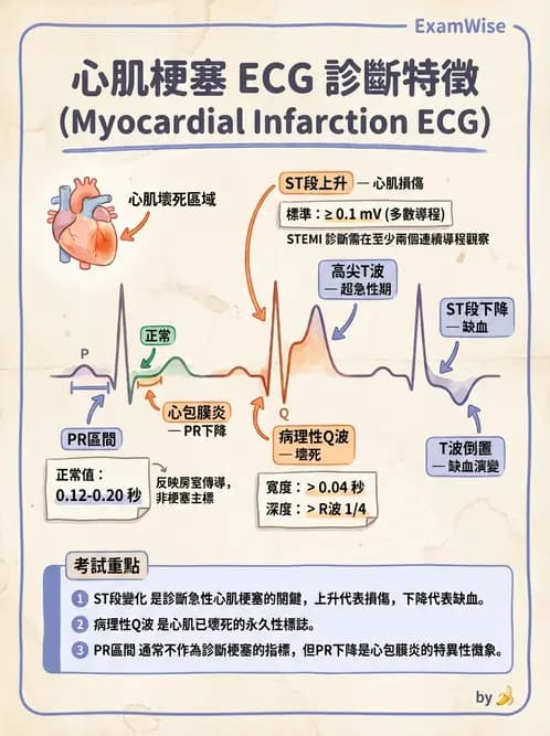 醫檢師 - 心肌病變與特殊心電圖 - AI 圖文解析預覽