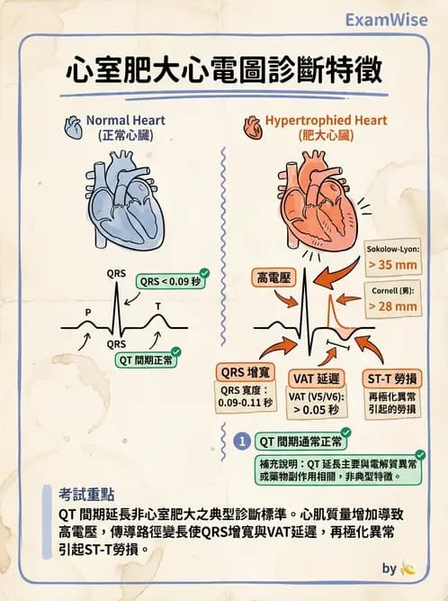 醫檢師 - 心肌病變與特殊心電圖 - AI 圖文解析預覽