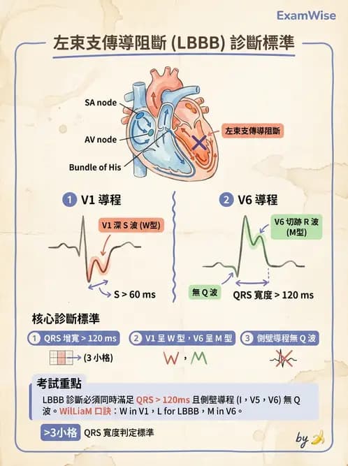 醫檢師 - 心肌病變與特殊心電圖 - AI 圖文解析預覽