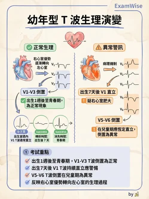醫檢師 - 心電圖基礎與判讀 - AI 圖文解析預覽