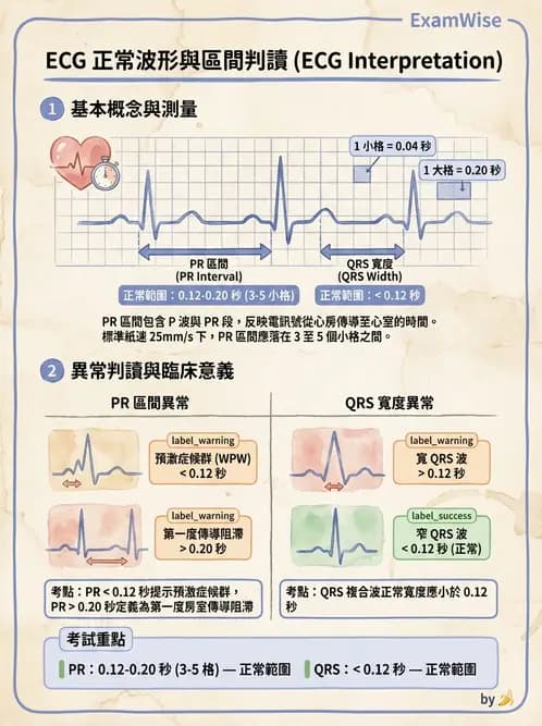 醫檢師 - 心電圖基礎與判讀 - AI 圖文解析預覽