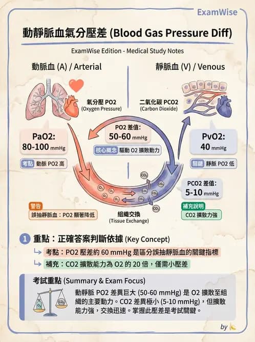 醫檢師 - 血液氣體分析 - AI 圖文解析預覽