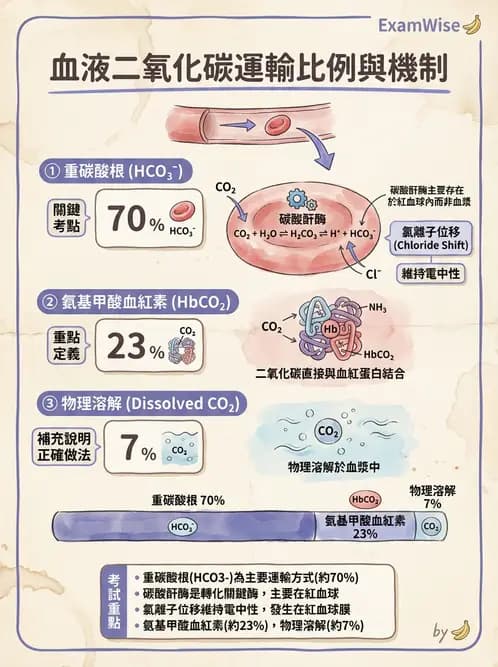 醫檢師 - 血液氣體分析 - AI 圖文解析預覽