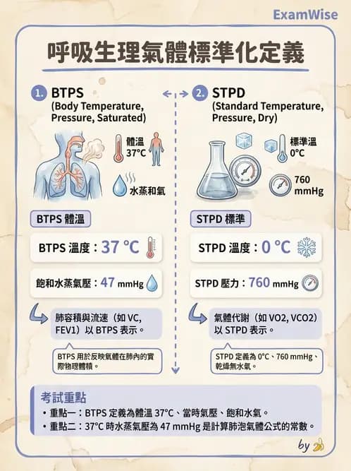 醫檢師 - 肺功能基礎與指標 - AI 圖文解析預覽