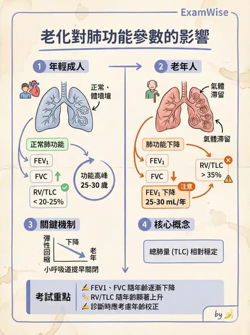 醫檢師 - 肺功能判讀與氣體交換 - AI 圖文解析預覽