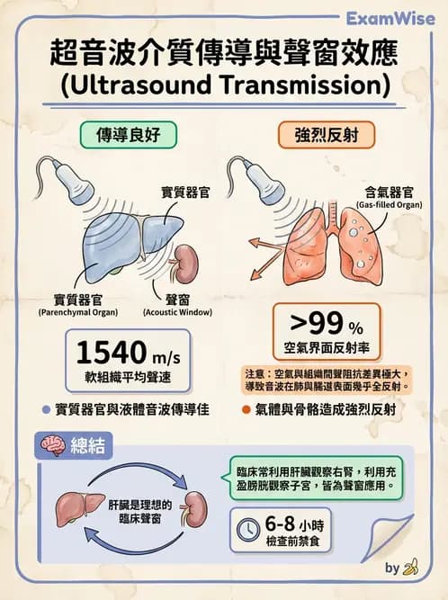 醫檢師 - 超音波檢查 - AI 圖文解析預覽