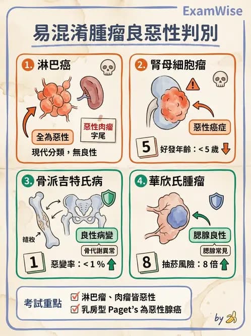 醫檢師 - 腫瘤概論 - AI 圖文解析預覽