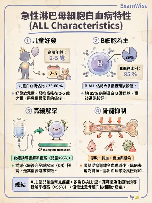 醫檢師 - 造血系統疾病 - AI 圖文解析預覽