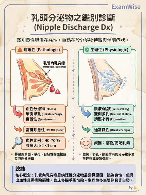 醫檢師 - 乳房及女性生殖疾病 - AI 圖文解析預覽