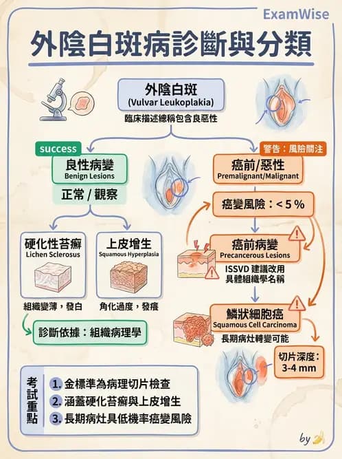 醫檢師 - 乳房及女性生殖疾病 - AI 圖文解析預覽
