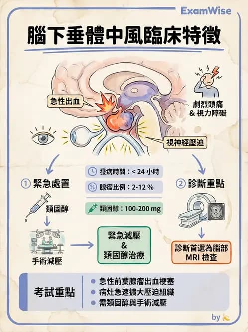 醫檢師 - 內分泌疾病 - AI 圖文解析預覽