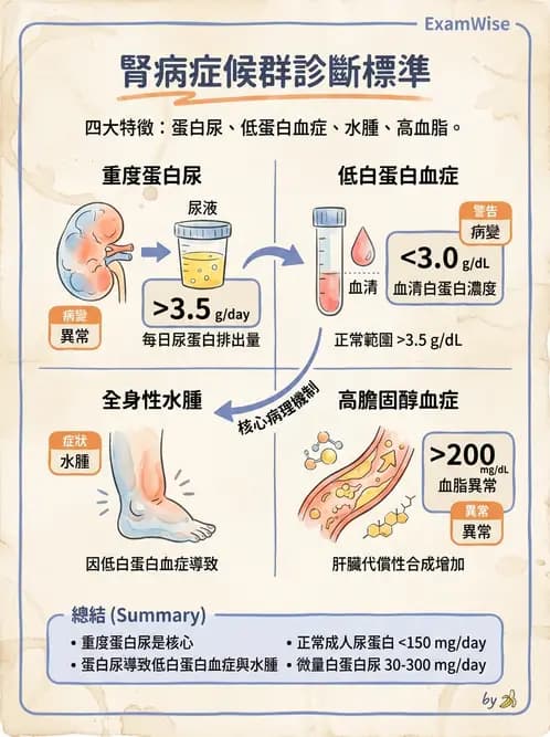 醫檢師 - 腎臟泌尿及男性生殖疾病 - AI 圖文解析預覽