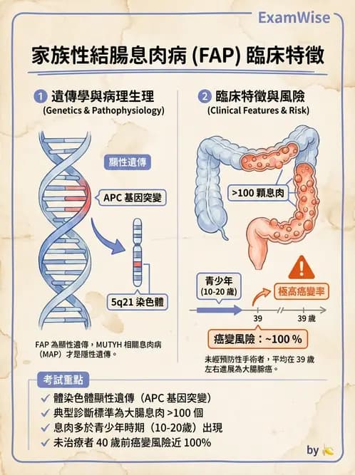 醫檢師 - 消化肝膽疾病 - AI 圖文解析預覽