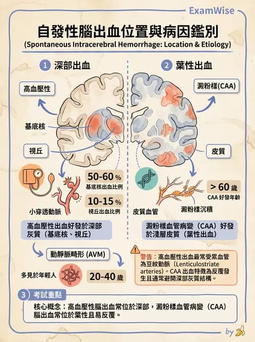醫檢師 - 神經系統疾病 - AI 圖文解析預覽