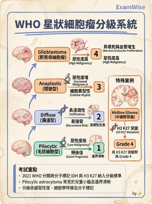 醫檢師 - 神經系統疾病 - AI 圖文解析預覽