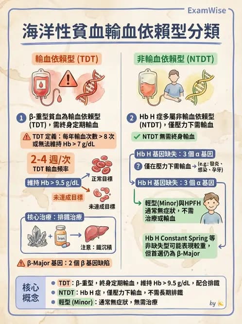 醫檢師 - 溶血性貧血與血色素病變 - AI 圖文解析預覽