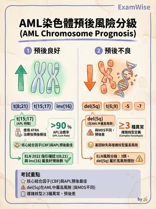 醫檢師 - 急性白血病 - AI 圖文解析預覽