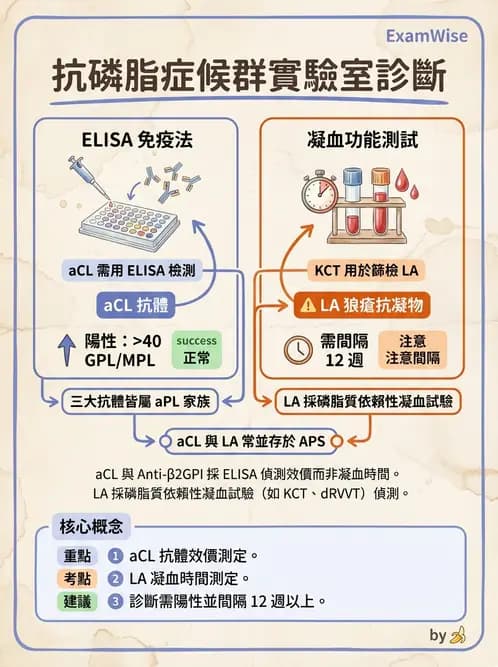 醫檢師 - 血栓性疾病與抗凝治療監測 - AI 圖文解析預覽