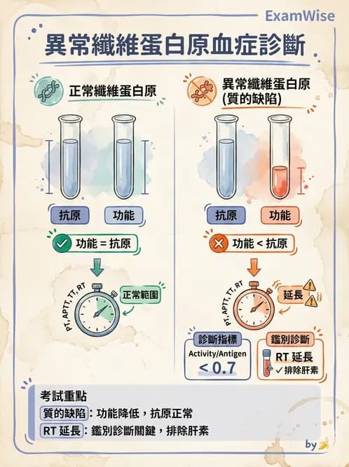 醫檢師 - 出血性疾病與檢驗 - AI 圖文解析預覽
