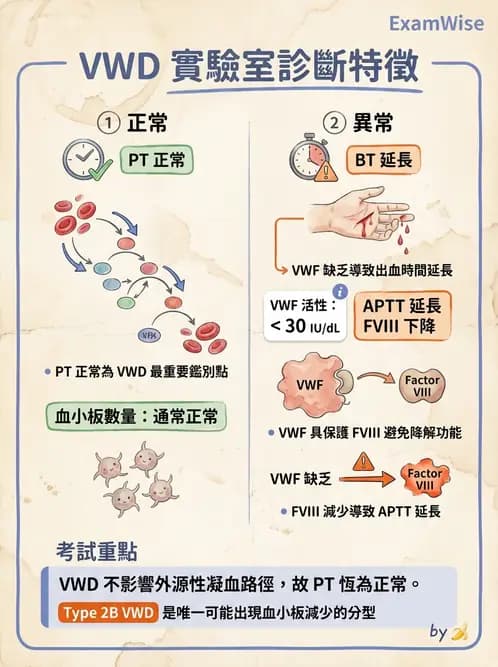 醫檢師 - 出血性疾病與檢驗 - AI 圖文解析預覽