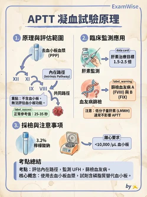 醫檢師 - 凝血因子與凝血檢驗 - AI 圖文解析預覽