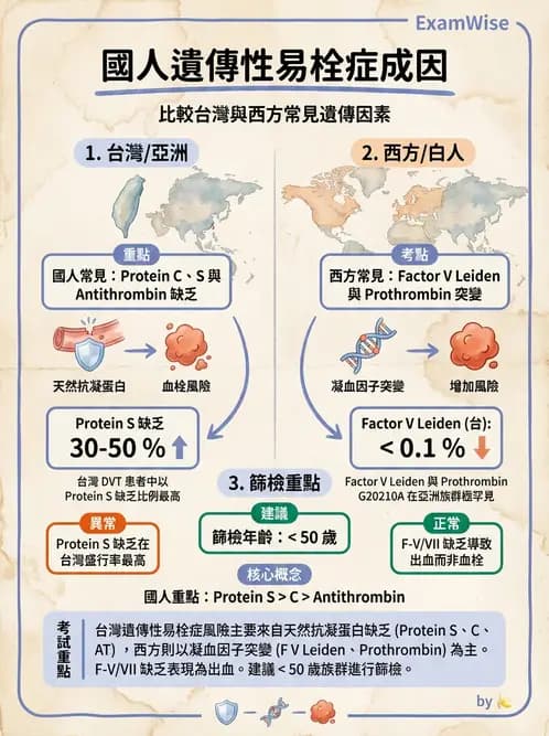 醫檢師 - 血栓性疾病與抗凝治療監測 - AI 圖文解析預覽