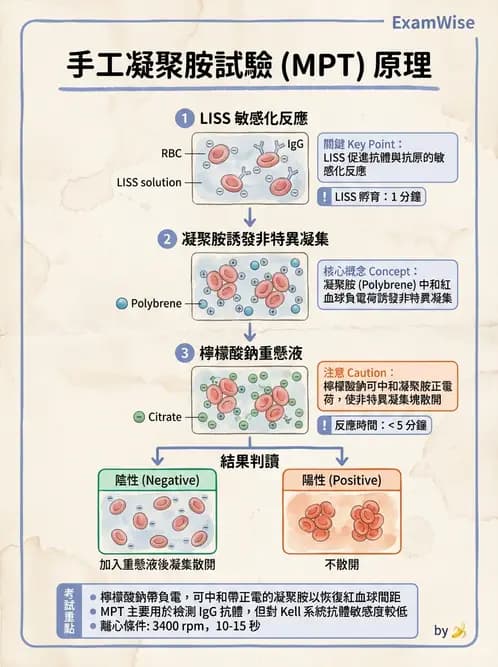 醫檢師 - 血液成分製備與輸血檢查 - AI 圖文解析預覽