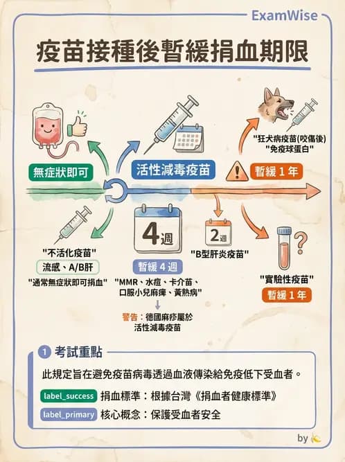 醫檢師 - 血液成分製備與輸血檢查 - AI 圖文解析預覽