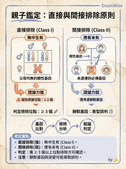 醫檢師 - 紅血球抗原與血型系統 - AI 圖文解析預覽