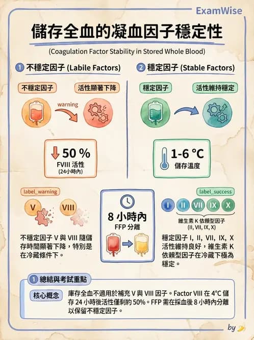 醫檢師 - 血液成分製備與輸血檢查 - AI 圖文解析預覽