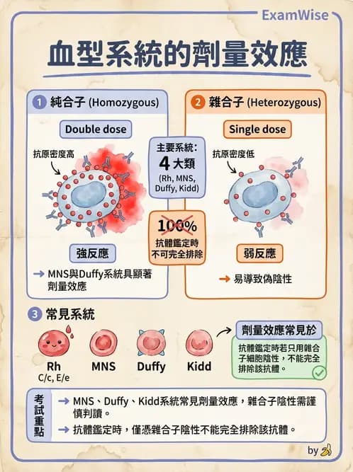 醫檢師 - 紅血球抗原與血型系統 - AI 圖文解析預覽